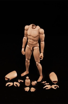 1/6 Scale Action Figures for Custom Asian/Europe Skin Muscular Muscle Male Figure Body (MX02-B)