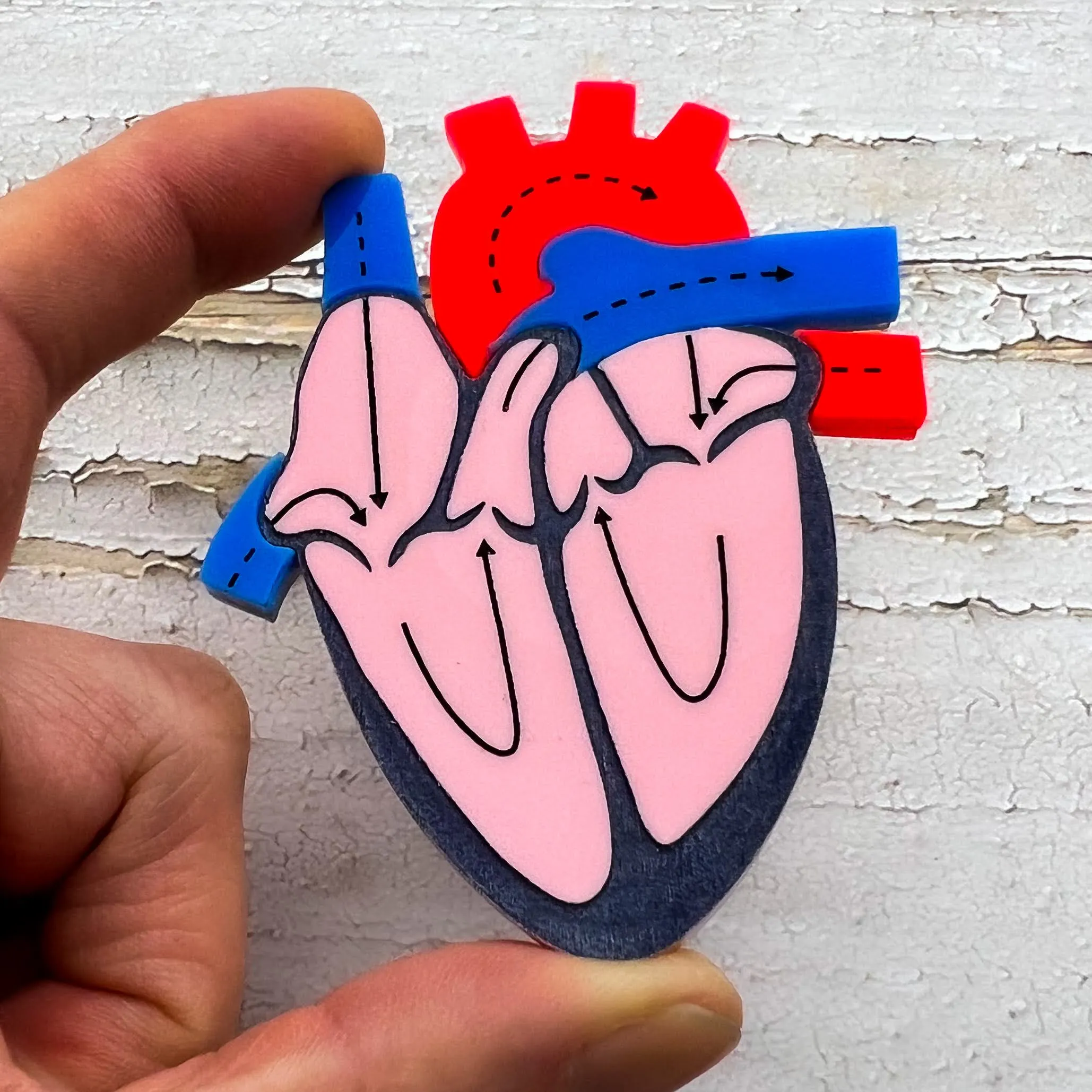 Anatomical Heart Brooch
