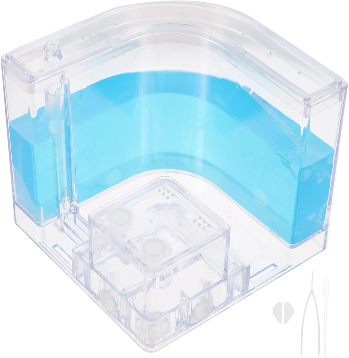 Ants Workshop Ants Farm Kit Observing Box for Science Education and Hands Learning and Reusable for Classroom and Fun Activities