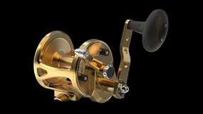 Avet LX 6.0 G2NGP MC RH-GD G2 Series LX 6.0 MC, RH (Gold)