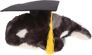 DolliBu Killer Whale Graduation Plush Toy - Super Soft Graduation Stuffed Animal Dress Up with Gown & Cap with Tassel Outfit - Gift with Personalization - 11.5" Inches