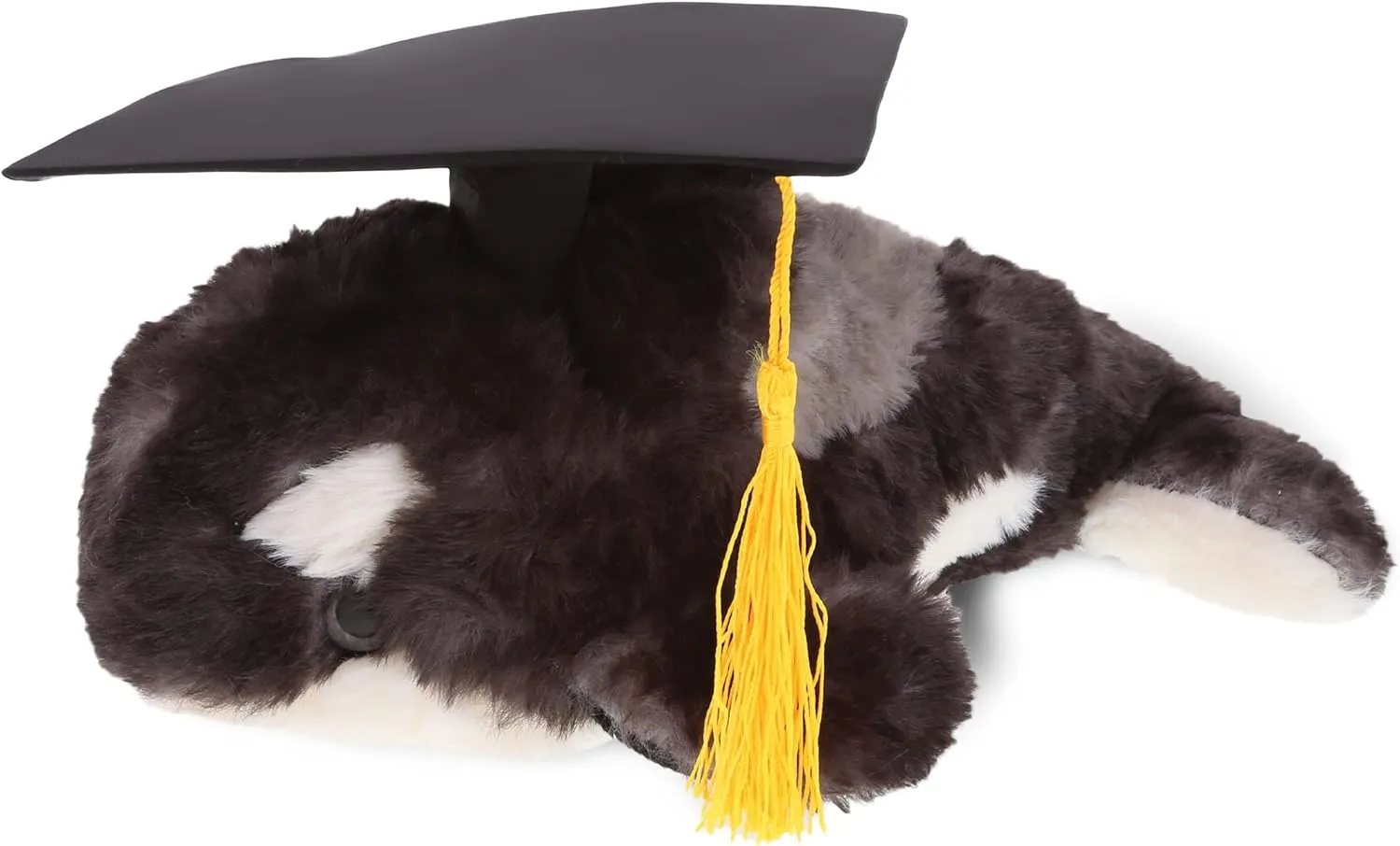 DolliBu Killer Whale Graduation Plush Toy - Super Soft Graduation Stuffed Animal Dress Up with Gown & Cap with Tassel Outfit - Gift with Personalization - 11.5" Inches