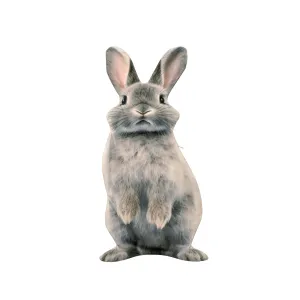Easter Bunny Pillowcase Soft & Durable Cover