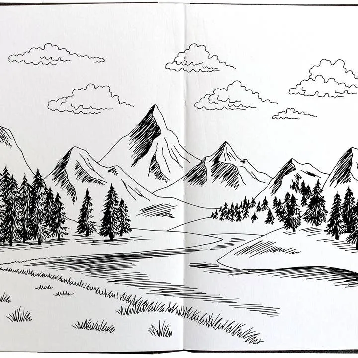 Field Sketchbook