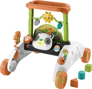 Fisher-Price Baby & Toddler Toy 2-Sided Steady Speed Panda Walker with Smart Stages Learning & Blocks for Ages 6  Months
