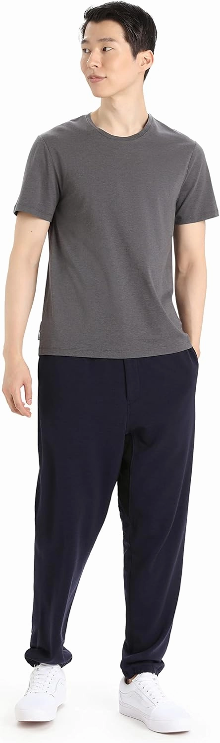 Icebreaker Merino Men's Central Classic Short Sleeve Wool T Basic Casual Shirt