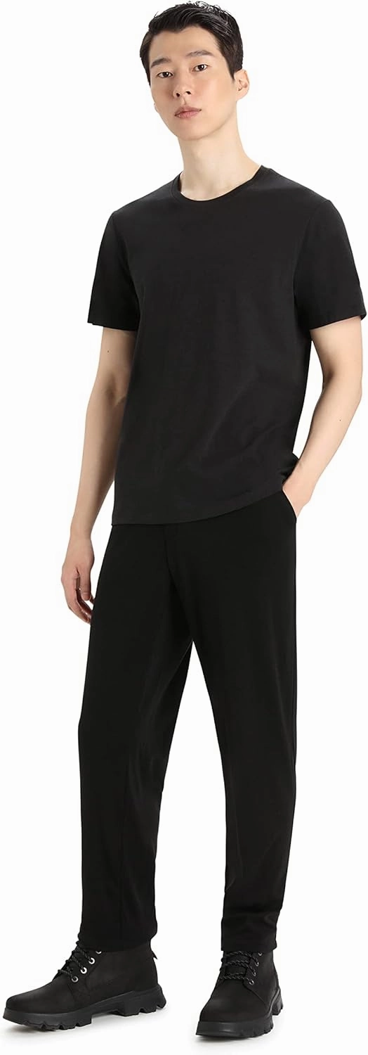 Icebreaker Merino Men's Central Classic Short Sleeve Wool T Basic Casual Shirt