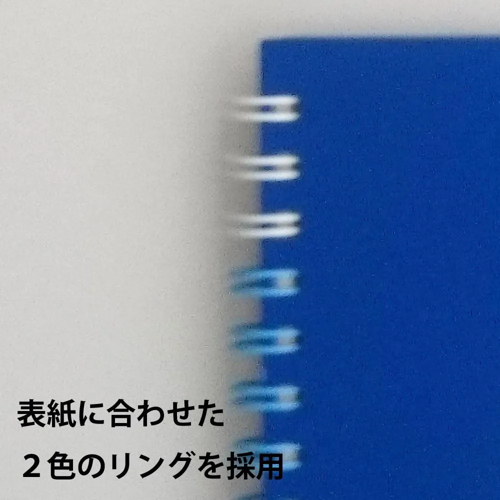 Maruman S311-02 Sketchbook F1 Art Spiral Drawing Paper, Thick, Blue, 24 Sheets