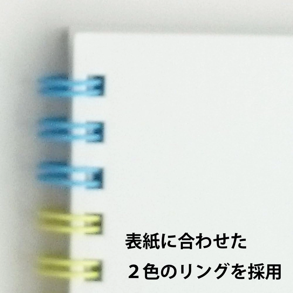 Maruman S313-06 Sketchbook Art Spiral F3 Thick Drawing Paper, 24 Sheets, White
