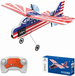 Mini RC Plane for Beginners, Kids and Adults, 2.4GHz 2CH Remote Control Airplane with Led Lights, RC Foam Airplanes with 6-axis Gyro Stabilize, Flying for Indoor and Outdoor