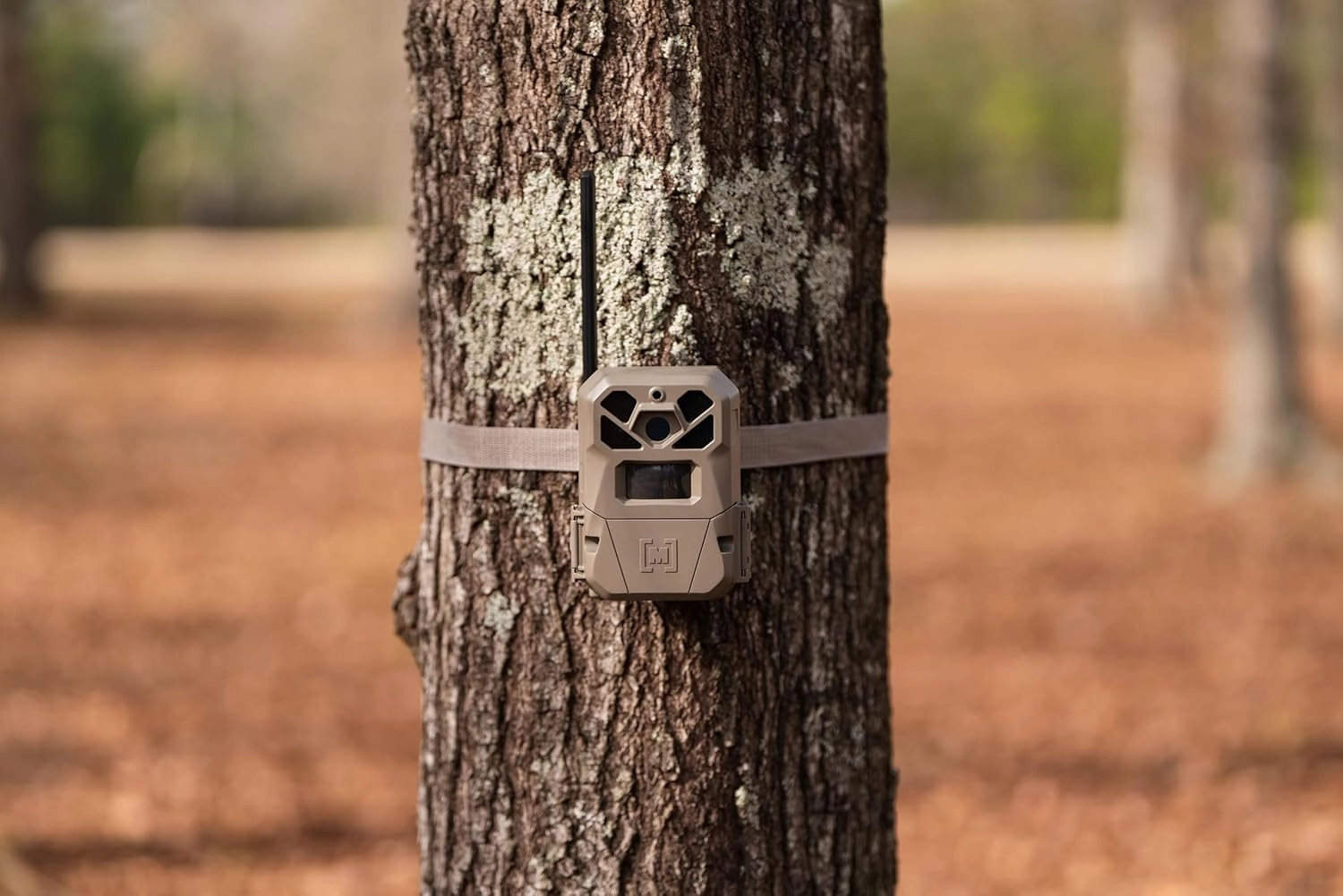 Moultrie Edge 2 Pro Cellular Trail Camera - Auto Connect Nationwide 4G LTE - On Demand 40MP Photo - 1440P Video with HD Audio - Ai False Trigger Elimination - 100 Ft Detection Range - No-Glow Flash