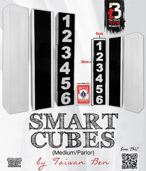 Murphy's Magic Supplies, Inc. Smart Cubes (Medium/Parlor) by Taiwan Ben - Trick