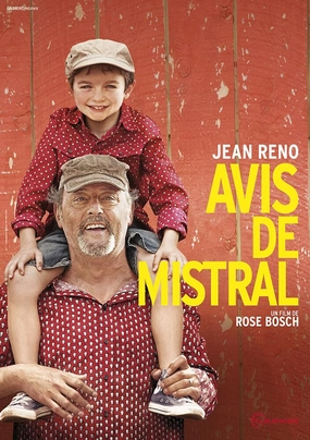 My Summer in Provence ( Avis de mistral ) ( Our Summer in Provence ) [ NON-USA FORMAT, PAL, Reg.0 Import - France ]