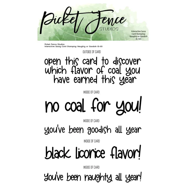 Naughty or Goodish Interactive Card Clear Stamps by Picket Fence Studios