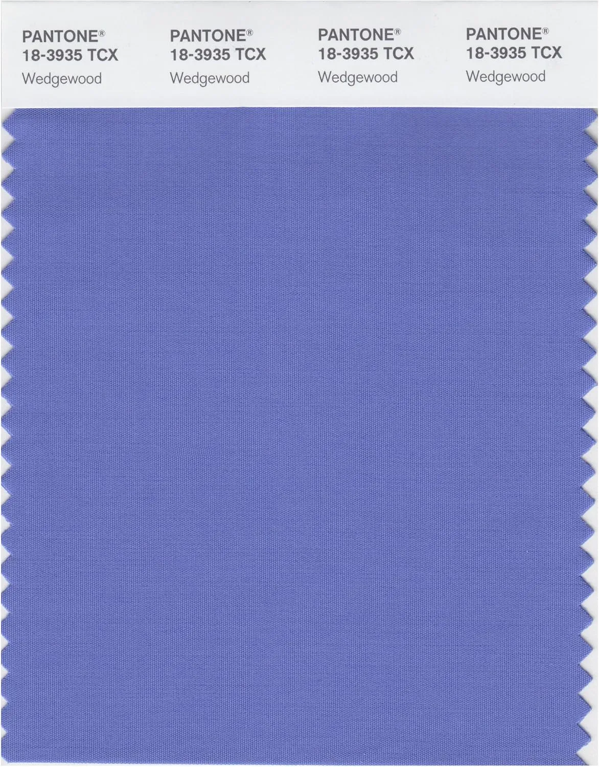 PANTONE Smart 18-3935X Color Swatch Card, Wedgewood