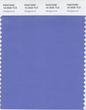 PANTONE Smart 18-3935X Color Swatch Card, Wedgewood