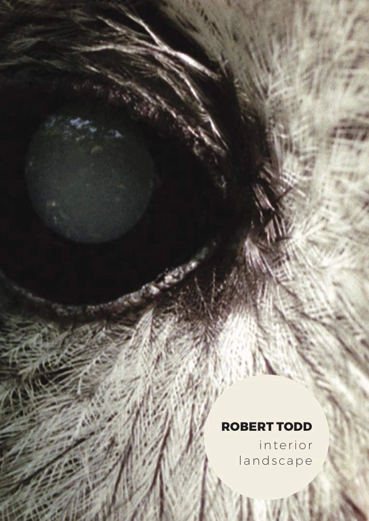 Robert Todd: Interior Landscape ( EVERGREEN / INTERPLAY / HABITAT / UNDERGROWTH / WITHIN / THRESHOLD ) [ NON-USA FORMAT, PAL, Reg.0 Import - France ]