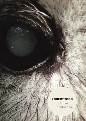 Robert Todd: Interior Landscape ( EVERGREEN / INTERPLAY / HABITAT / UNDERGROWTH / WITHIN / THRESHOLD ) [ NON-USA FORMAT, PAL, Reg.0 Import - France ]