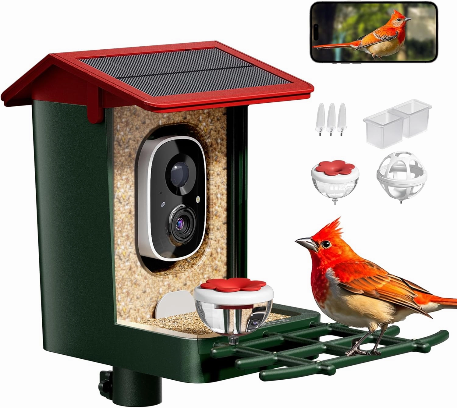 Smart Bird Feeder with Camera Solar Powered, 1080P HD Video, 10,000  Species AI Recognition, Real-Time App Alerts, Weatherproof Design for Effortless Birdwatching, Gift for Bird Lovers, Red-Green