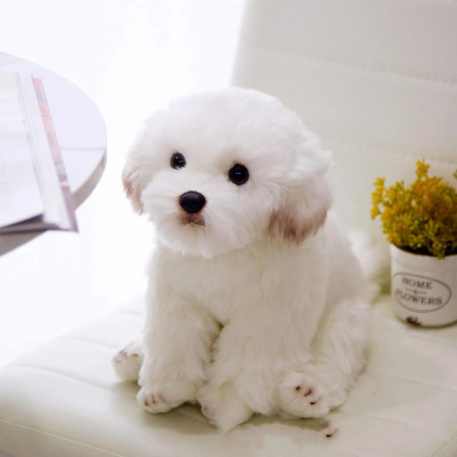 Tiny Heart Maltese Dog Plush Toys, Realistic Dog Stuffed Animal Super Soft and Cute White Dog Plush Toys 10inch, Birthday Gifts for Kids Boys and Girls Bedroom Home Decor Simulation