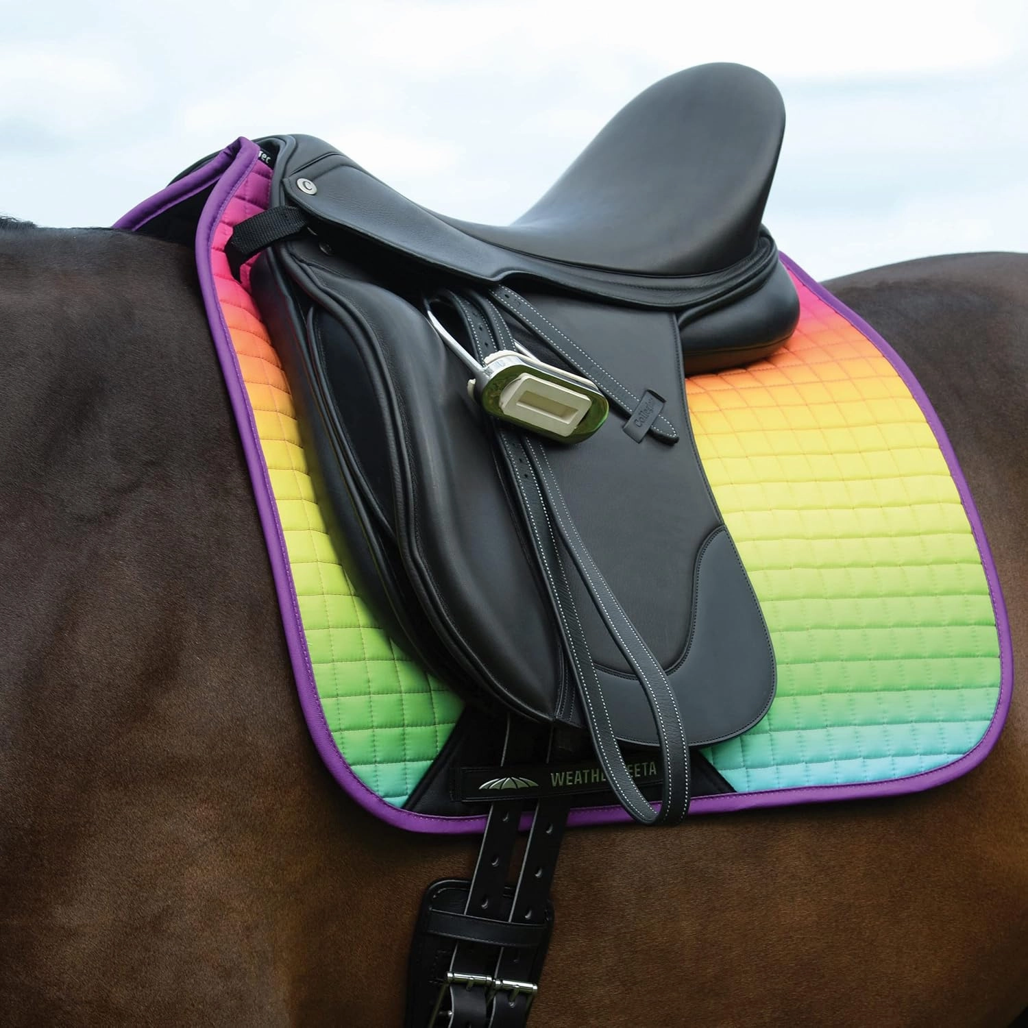 WeatherBeeta Prime Ombre Dressage Saddle Pad, Lagoon Mist, Full