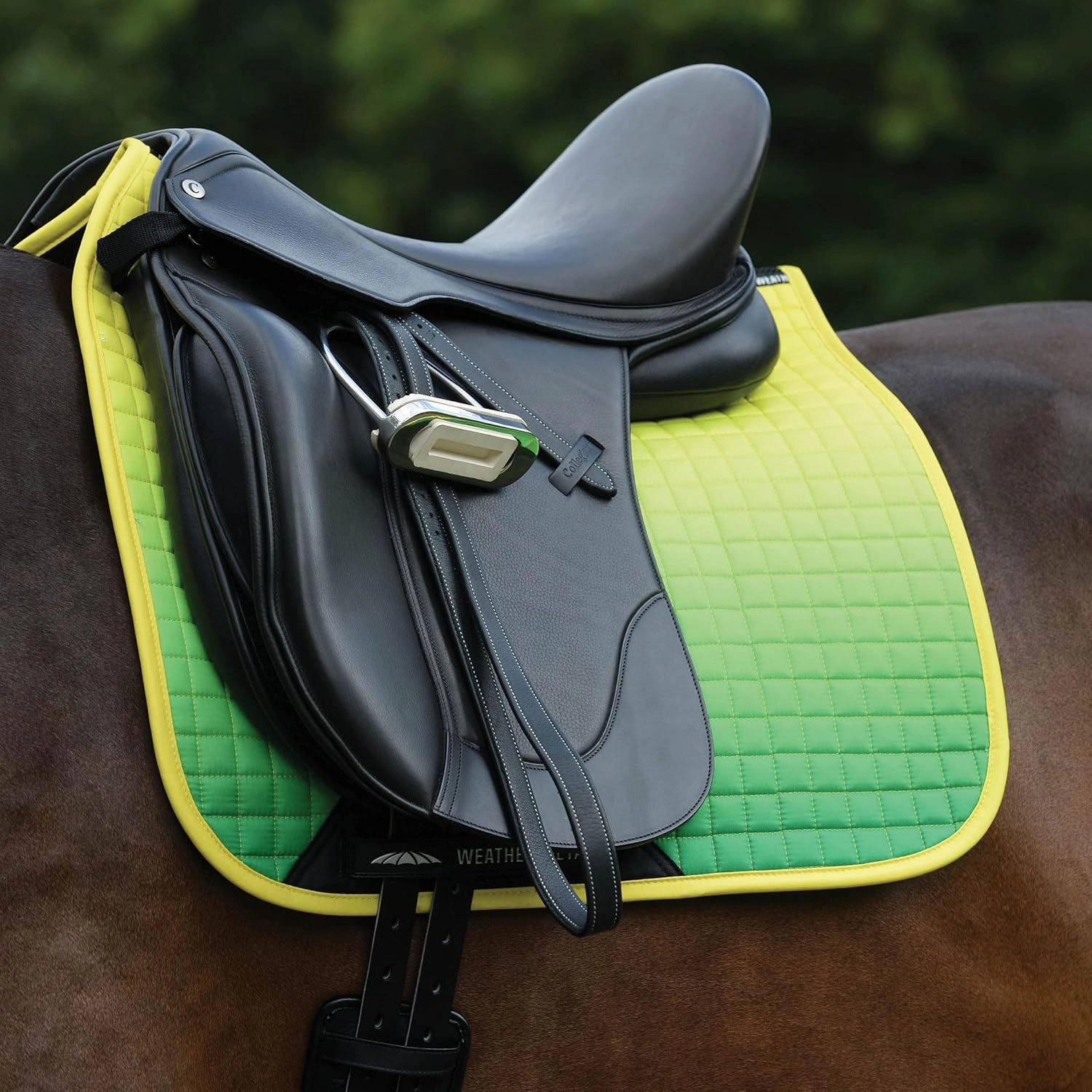 WeatherBeeta Prime Ombre Dressage Saddle Pad, Lagoon Mist, Full