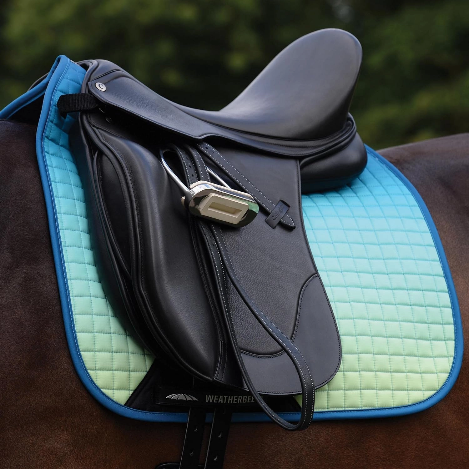 WeatherBeeta Prime Ombre Dressage Saddle Pad, Lagoon Mist, Full